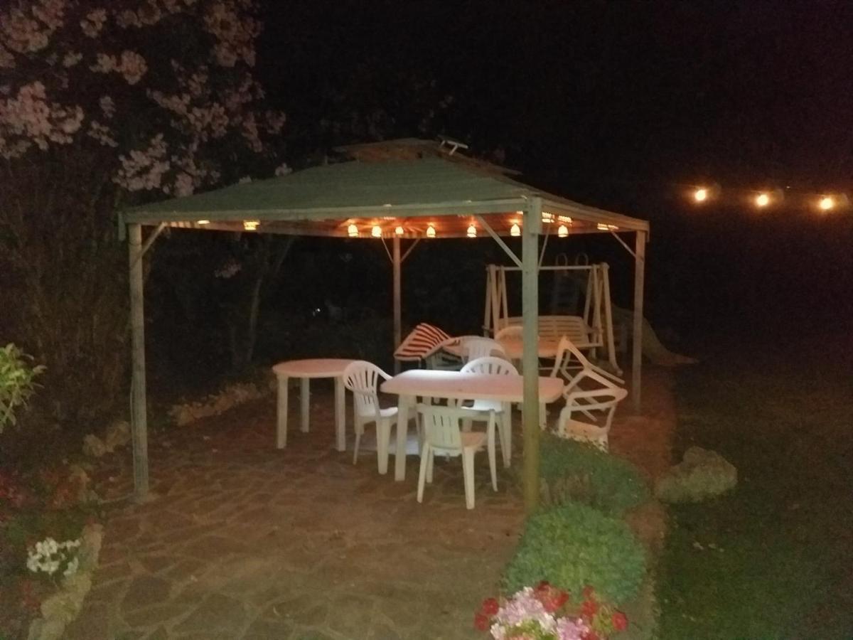 Garden Basement - Seminterrato Max 4 Ospiti - Fiumicino Vicino Aeroporto E Fiera Διαμέρισμα Εξωτερικό φωτογραφία