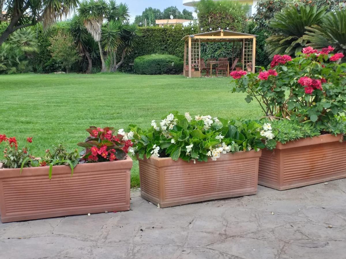 Garden Basement - Seminterrato Max 4 Ospiti - Fiumicino Vicino Aeroporto E Fiera Διαμέρισμα Εξωτερικό φωτογραφία